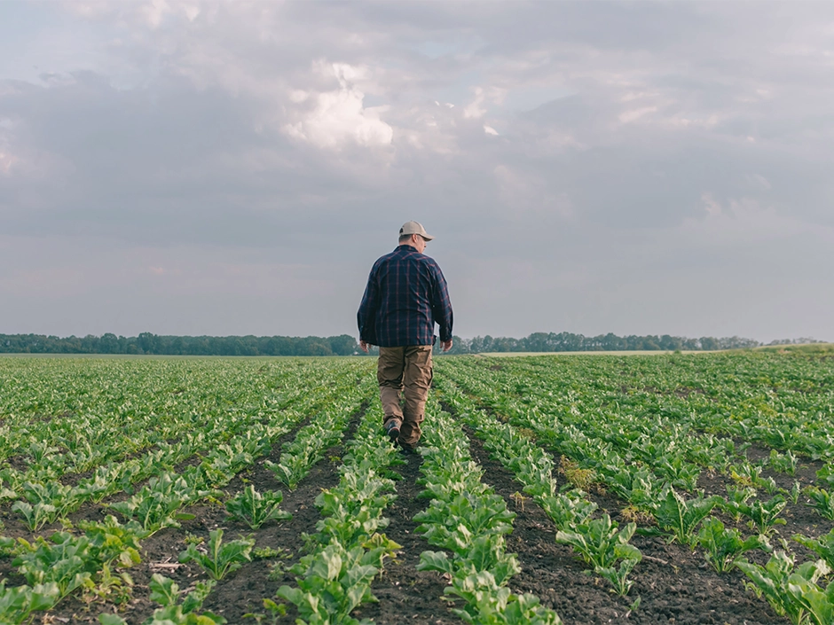 Agriculteur dans un champ